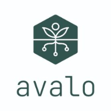 https://global-engage.com/wp-content/uploads/2023/09/avalo logo.jpg